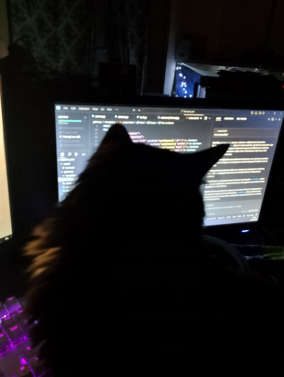 Команда NOVA FRAME